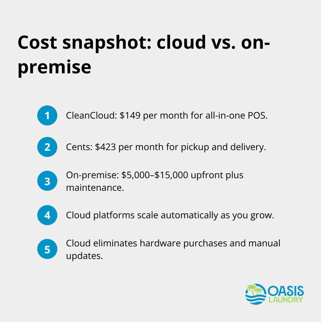 Compact list comparing cloud and on-premise laundry software costs - laundry pickup and delivery software
